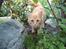 Blanding af racer Kitty <3 - Her er min frygtløse Kitty <´33