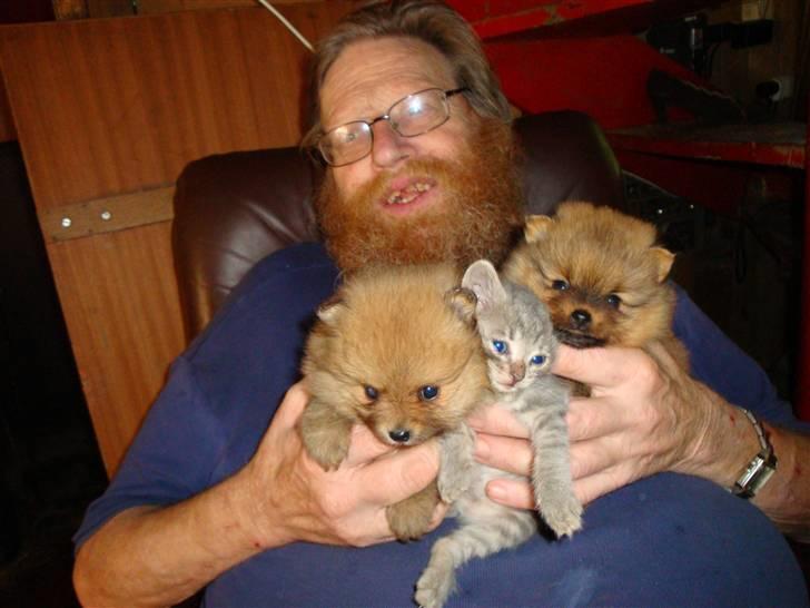 Huskat misse - Jon med killing og hvalpe sidste år....alle tre smådyr har fået gode hjem....Jon er stadig her. billede 9