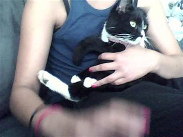 Huskat mille billede 1