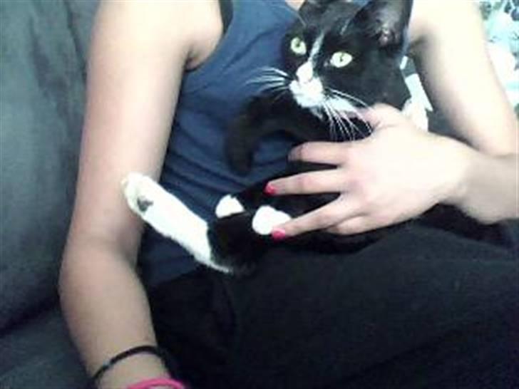 Huskat mille billede 2