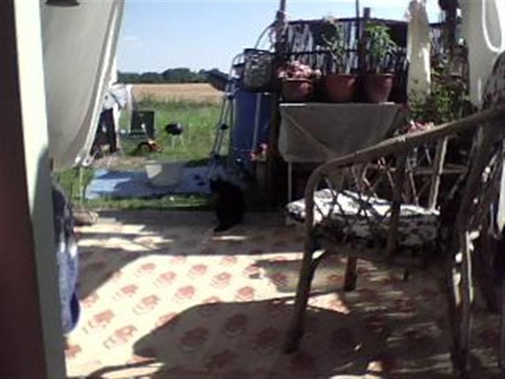 Huskat mille billede 3