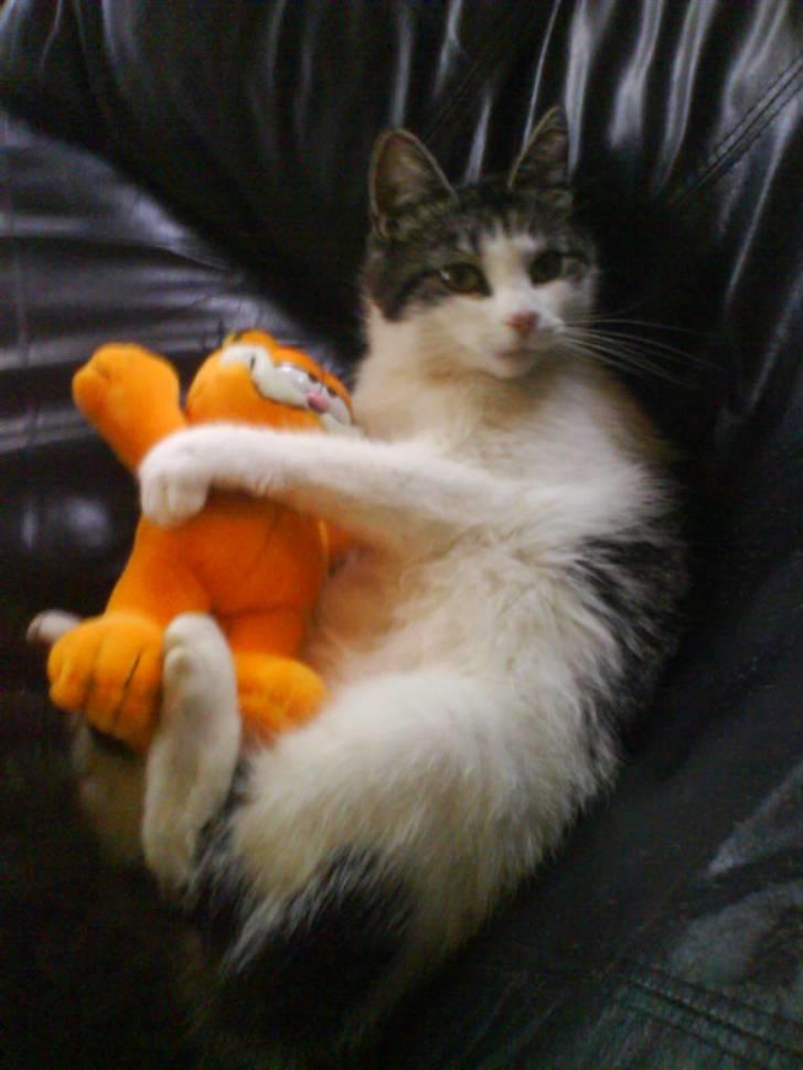 Huskat Mimse - Mimse med en Garfield bamse ;D billede 16