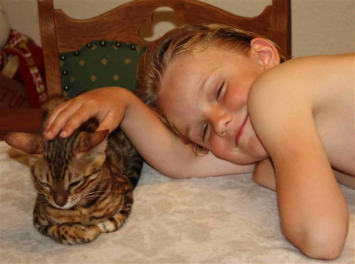 Bengal Gaia Of Golden Haze - Gaia og Nathalie hygger :-) billede 4