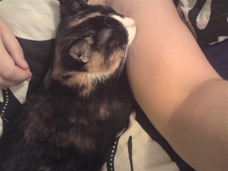 Huskat Misja - Jeg elsker at putte op ad mor! billede 5