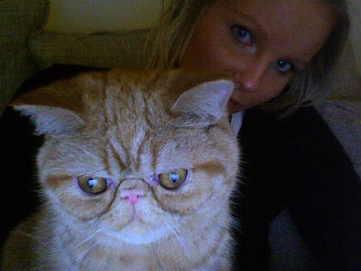 Exotic Alomi's Mikkel billede 2