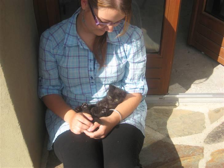 Huskat Jackson - Han var en meget træt killing, der elskede at ligge og sove:D billede 4