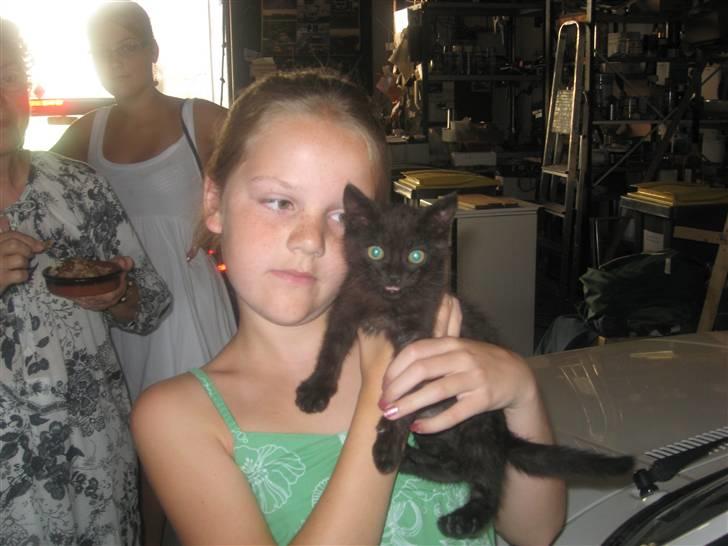 Huskat Jackson - Min Søster med Jackson, den dag vi tog hjem sidste år:P billede 9