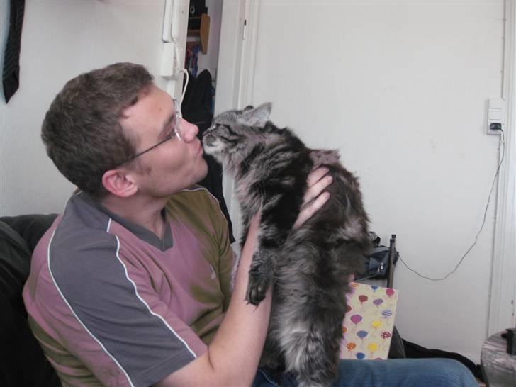 Blanding af racer Luna - Et lille kys til far ;D  billede 15