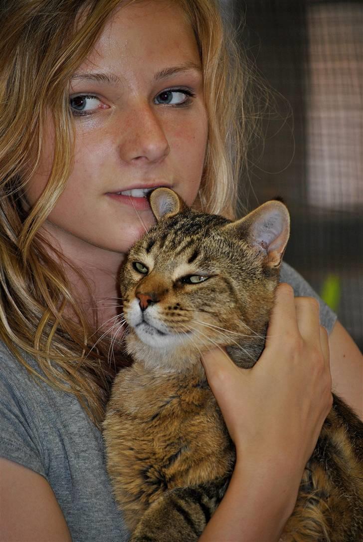 Blanding af racer Hugo Boss - I Kattehjemmet (o: billede 2