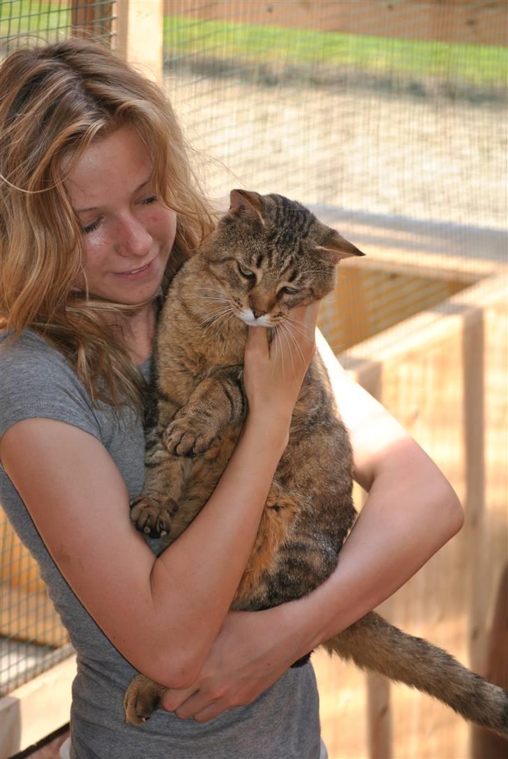 Blanding af racer Hugo Boss - Jeg vil ned ! >< billede 9