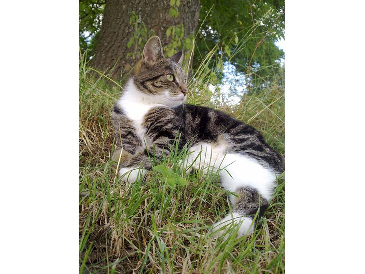 {{currentPhoto.altText}} billede {{currentPhoto.number}}