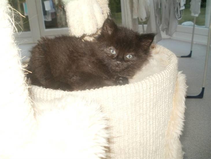 {{currentPhoto.altText}} billede {{currentPhoto.number}}