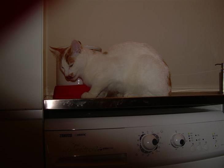 {{currentPhoto.altText}} billede {{currentPhoto.number}}