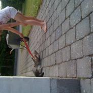 Blanding af racer Enzo R.I.P