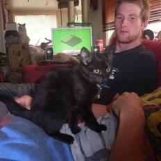 Blanding af racer bella  mus