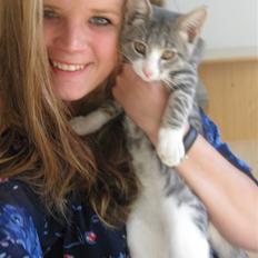 Blanding af racer Sia