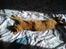 Blanding af racer Bettemus R.I.P. :'( :'(