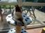 Huskat Citta