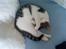 Huskat Citta