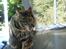 Huskat Pjock<3 R.I.P.<3 - "You were clean and you enjoyed to take care of both yourself, Sofus and your belonged people."