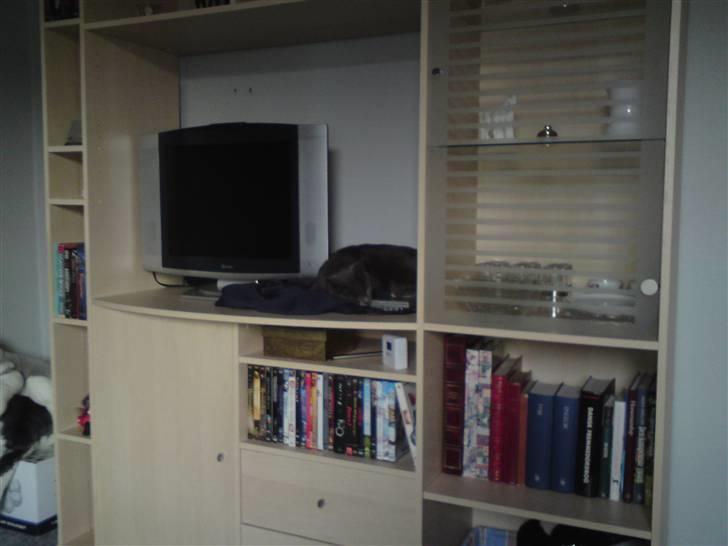 Huskat Aleu billede 9