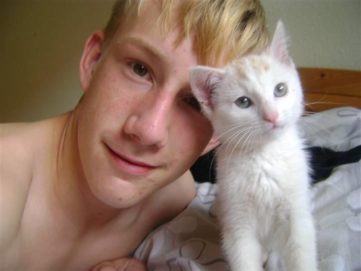 Huskat Emil billede 3