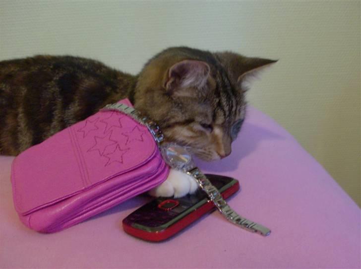 Blanding af racer barbie<3 - Barbie elsker bare blingXD billede 6