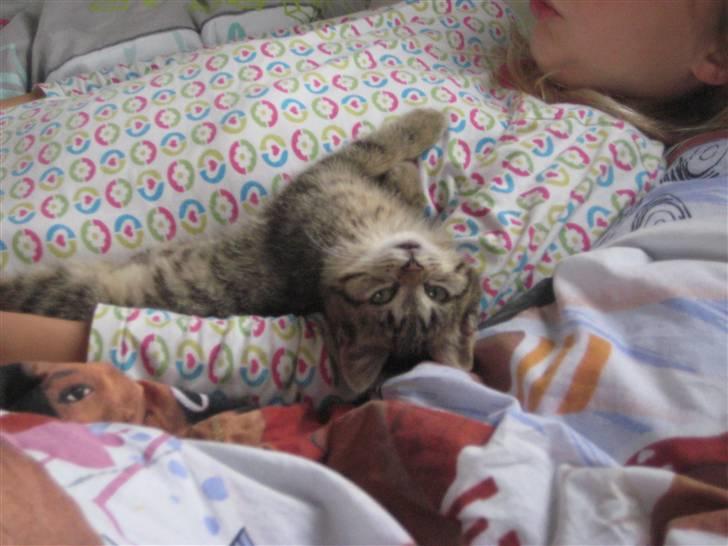 Huskat kika - mig og laura billede 7