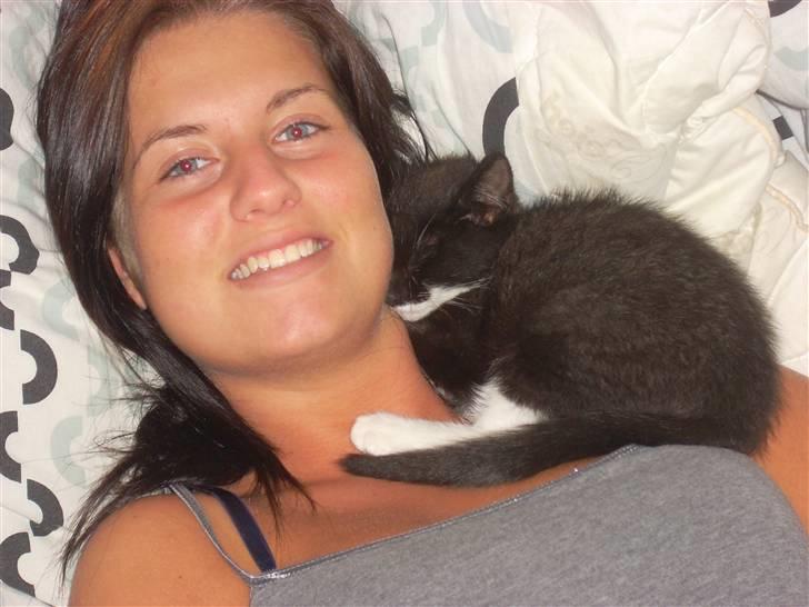 Blanding af racer Joey - Joey´s lille vane da han var 12uger og længere op.  billede 10