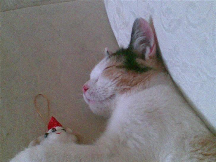 Huskat mathilde - den lille jule nis er der ingen der kan tage fra hende hun bruger den året rundt  billede 5