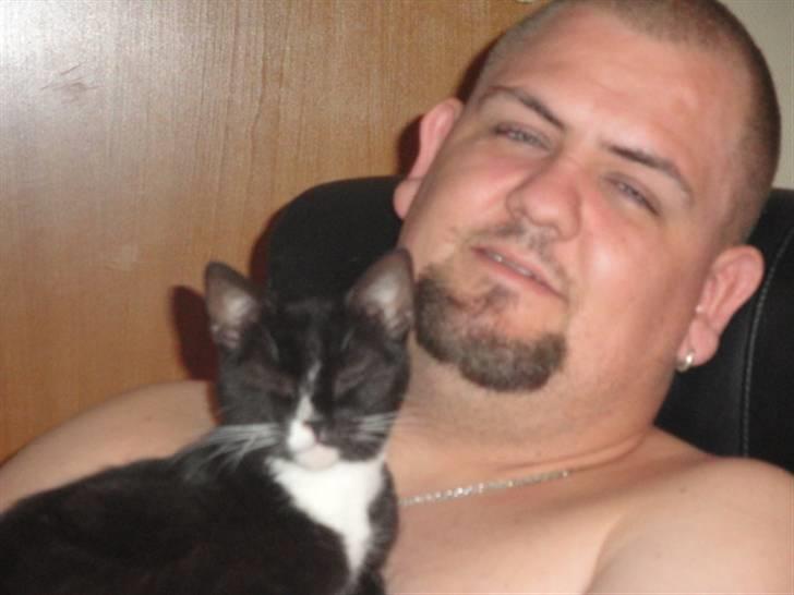 Huskat Pepe billede 4