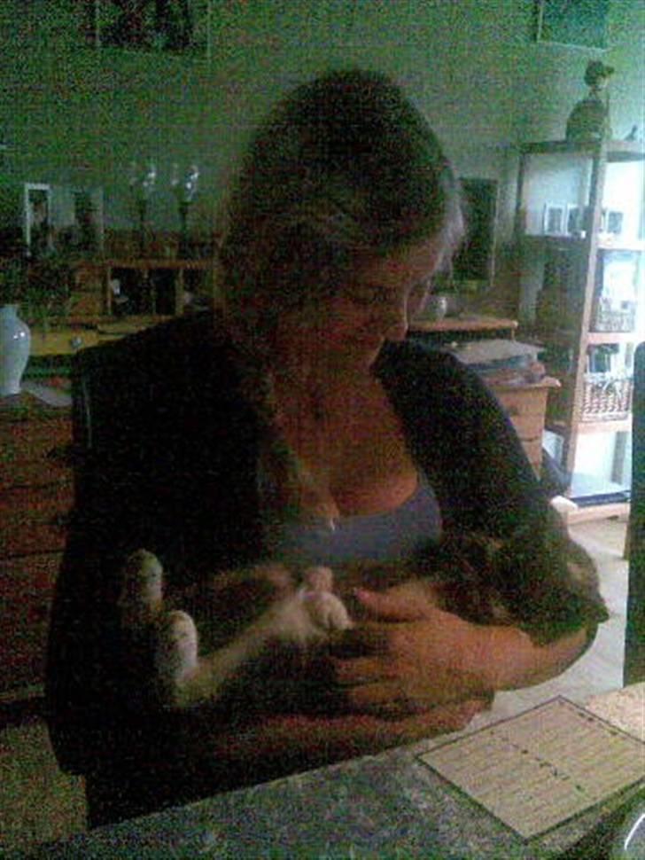 Blanding af racer Puff † - Sommer 2010 - Nusseri ved bordet :) billede 14