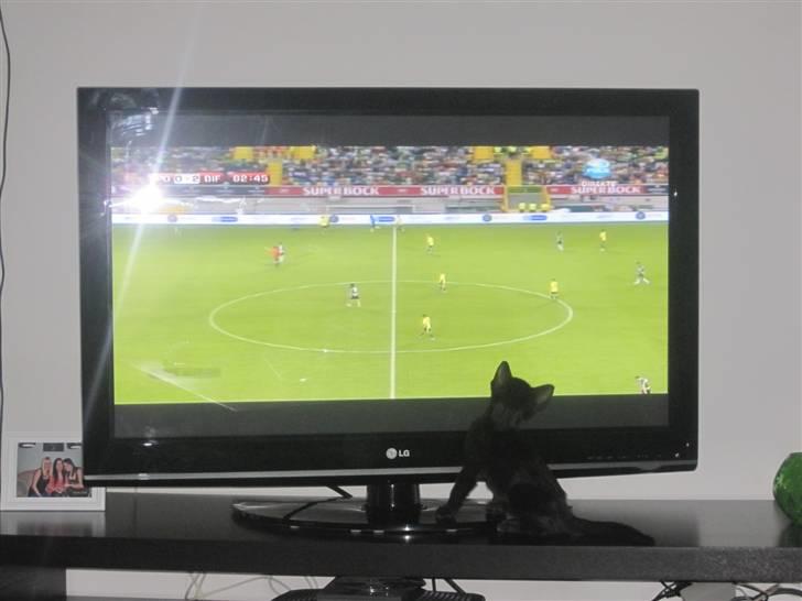 Huskat Blop billede 3