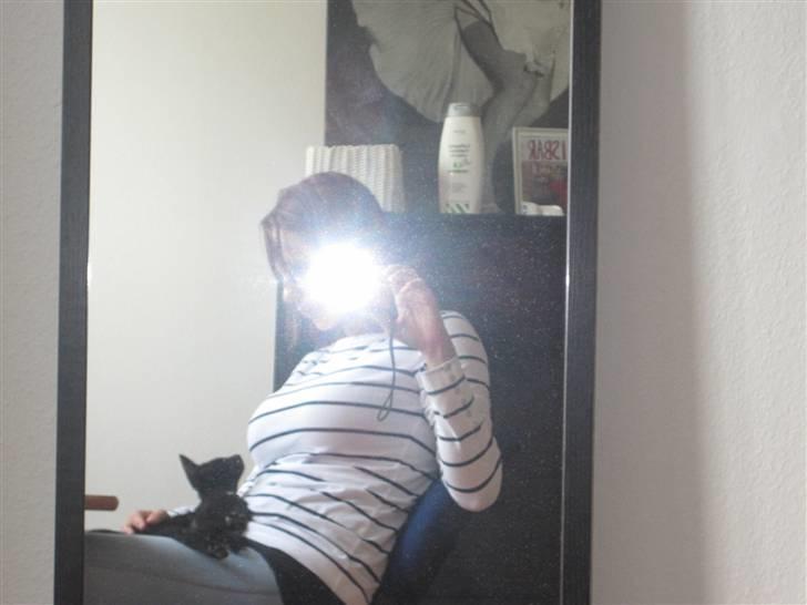 Huskat Blop - sidder med mor foran computeren.. billede 12