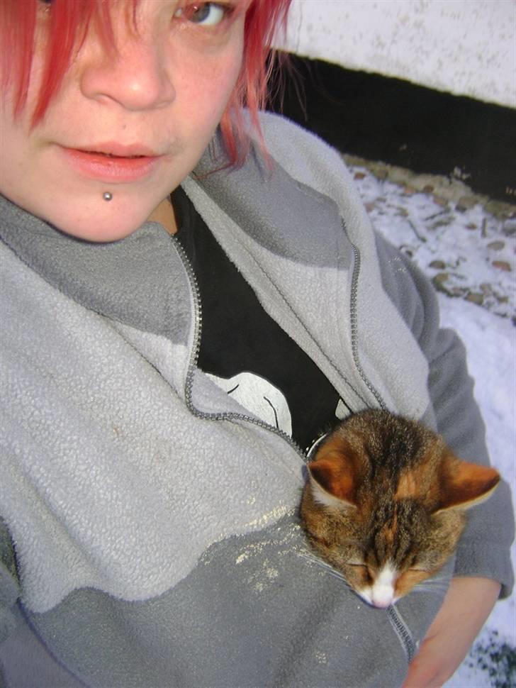 Huskat Stella billede 17