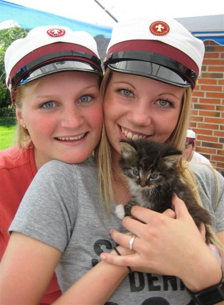 Norsk Skovkat Gizmo - Mig som lillebitte, med min ejer (Schanne - til højre) og hendes veninde (til venstre). billede 2