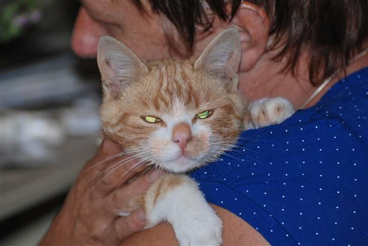 Huskat Fister Løgsovs billede 12