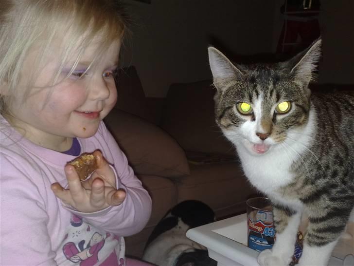 Huskat Knirke - Moar ....... Hun vil ikk gi mig kiksen .......!!  billede 9