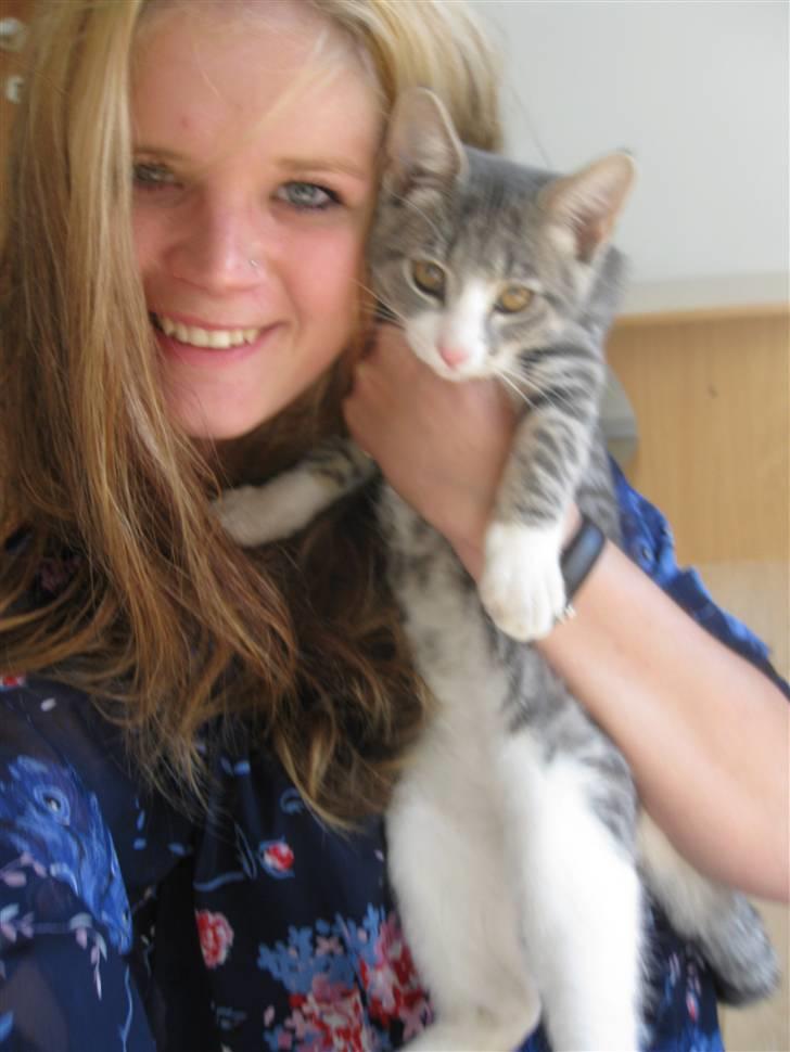 Blanding af racer Sia - Sia og jeg :-) - Velkommen til profilen :) smid en kommentar og bedømmelse :-) billede 1