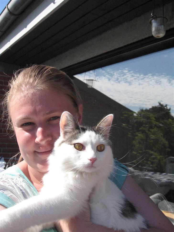 Blanding af racer Chilli  - Chili og jeg på altanen :) billede 19