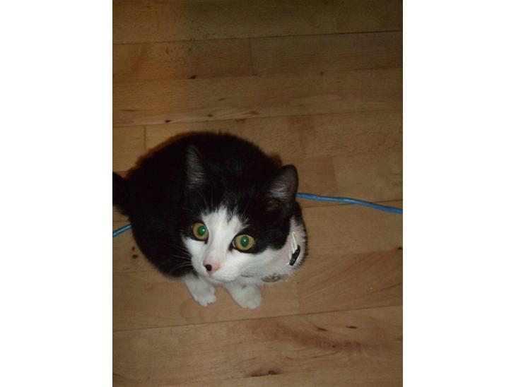 {{currentPhoto.altText}} billede {{currentPhoto.number}}