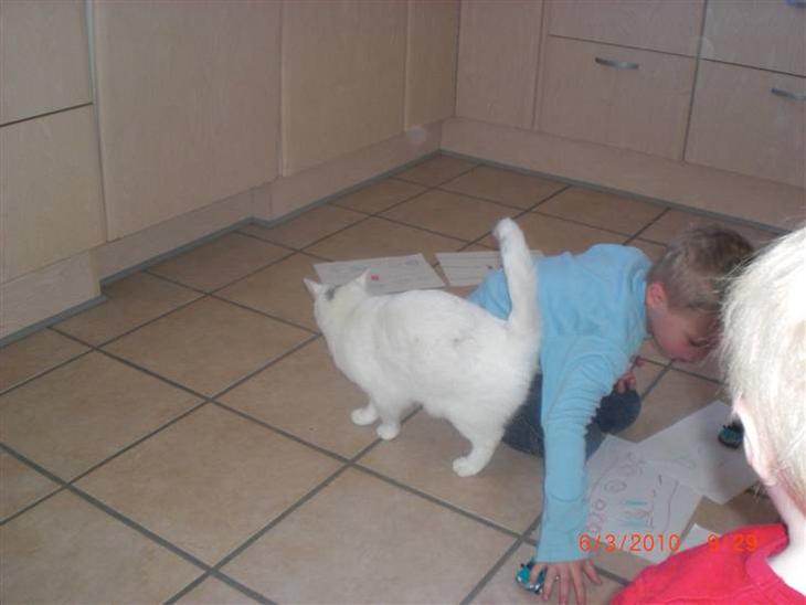 {{currentPhoto.altText}} billede {{currentPhoto.number}}