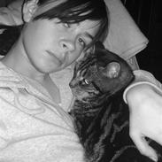 Blanding af racer Minsi