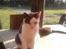 Huskat Oliver R.I.P