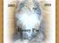Maine Coon Honey Pie R.I.P mors skat