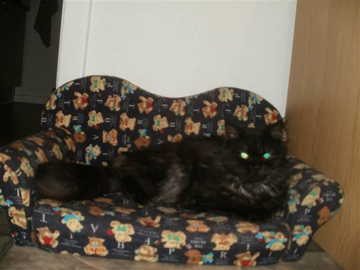 Blanding af racer Sandy Sov sødt min pige billede 1