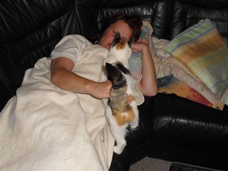 Blanding af racer Cervinagaard Ariel R.I.P billede 13