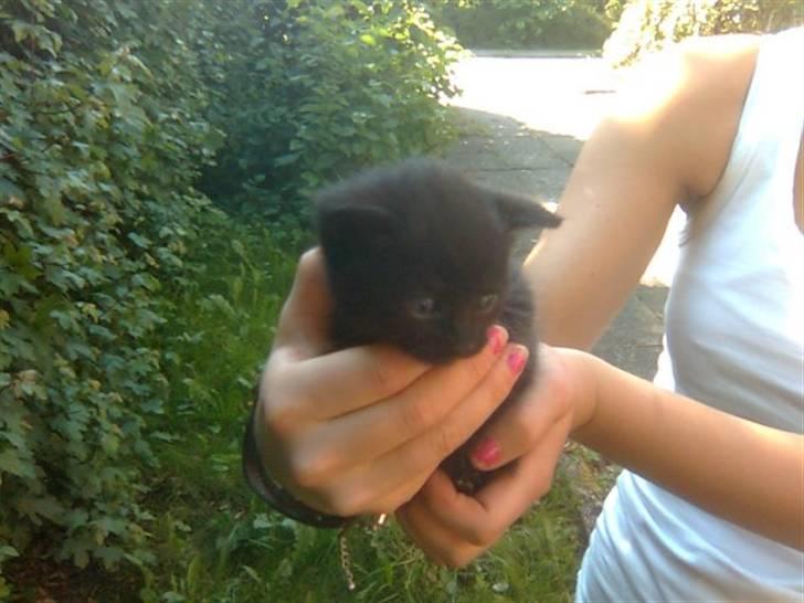 Huskat Poul R.I.P :'( - Næsten lige fået øjne, hvor er verden dog stor! billede 6