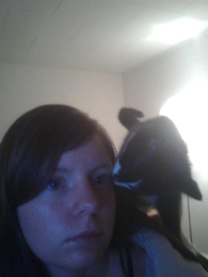 Huskat Snif billede 7