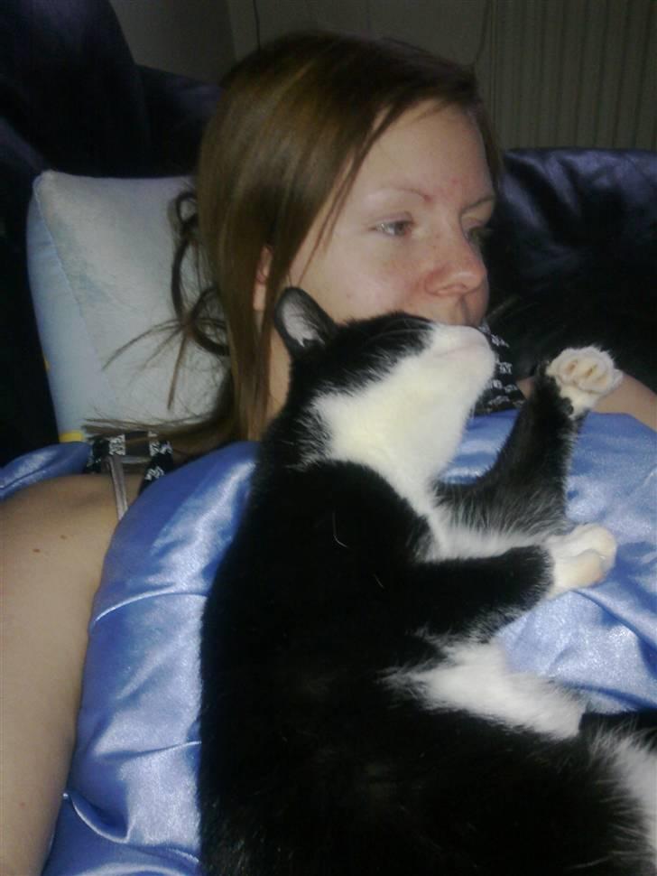 Huskat Snif - super kælen =) billede 9